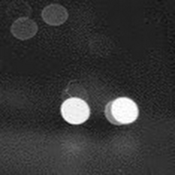 Meet your Posher, Dana - Picture 1 of 1